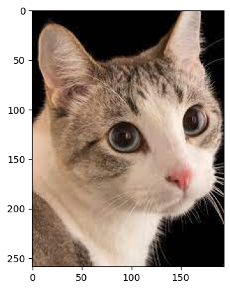 ../_images/lectures_03-tensor-data_6_1.png